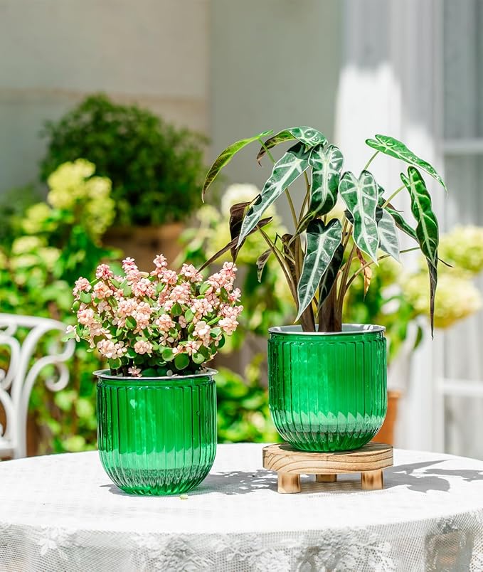 Melphoe Self Watering Pots for Indoor Plants Planter, 5.3 Inch 2 Pack Planters - Image 3