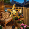 Star Solar Lights Garden Outdoor Decor Waterproof Metal Solar Stakes Lights by TAKEME