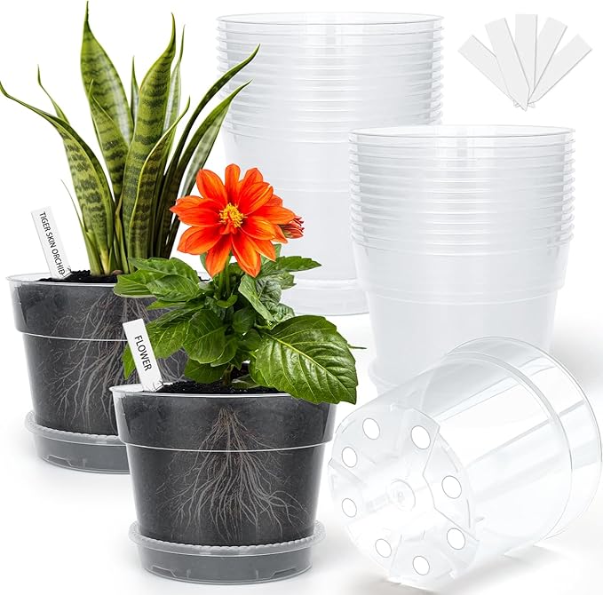 BTPLASTIK Clear Plastic Nursery Pots by BTPLASTIK