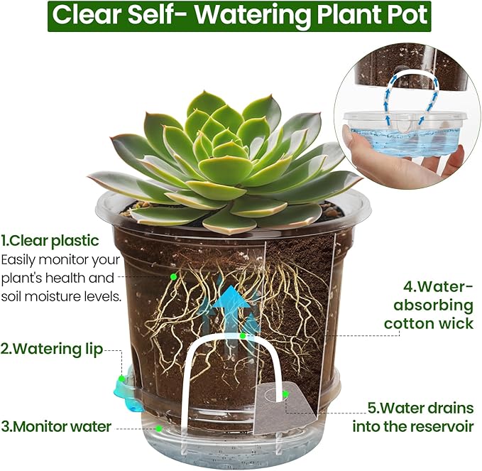 18 Pack 6.5/5/4 Inch Clear Self Watering Plant Pots - Image 4