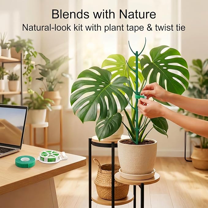 10-Pack Monstera Plant Support Stakes - Image 5