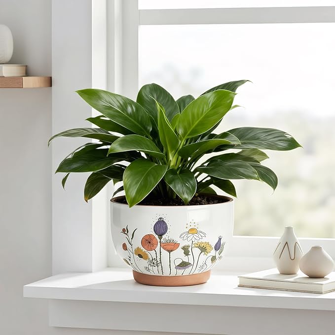 YBX 8 Inch & 6 Inch Terracotta Plant Pots, Flower Pots - Image 2