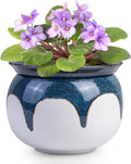 African Violet Pots, 6 inch Ceramic Easy Self Watering Plant Pot by BUYMAX