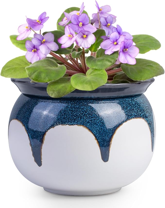 African Violet Pots, 6 inch Ceramic Easy Self Watering Plant Pot by BUYMAX