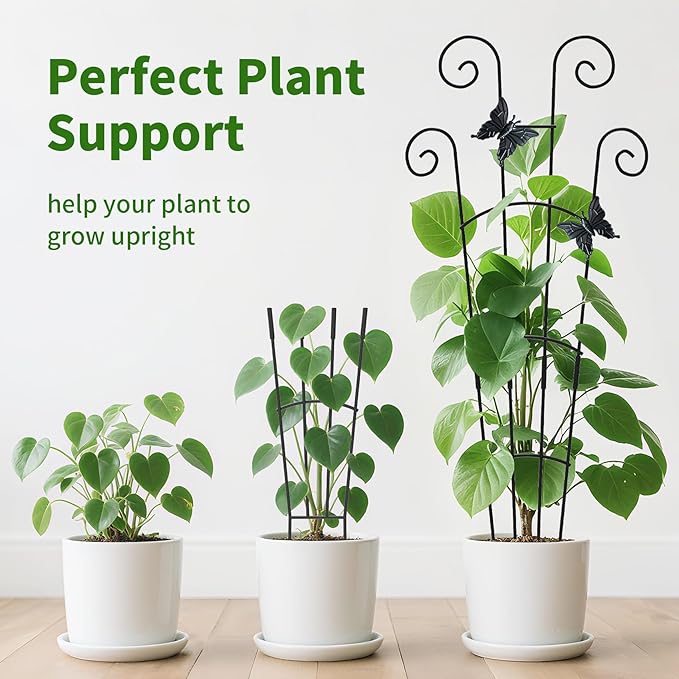 4 Pack 30 InchTaller Plant Trellis - Image 6