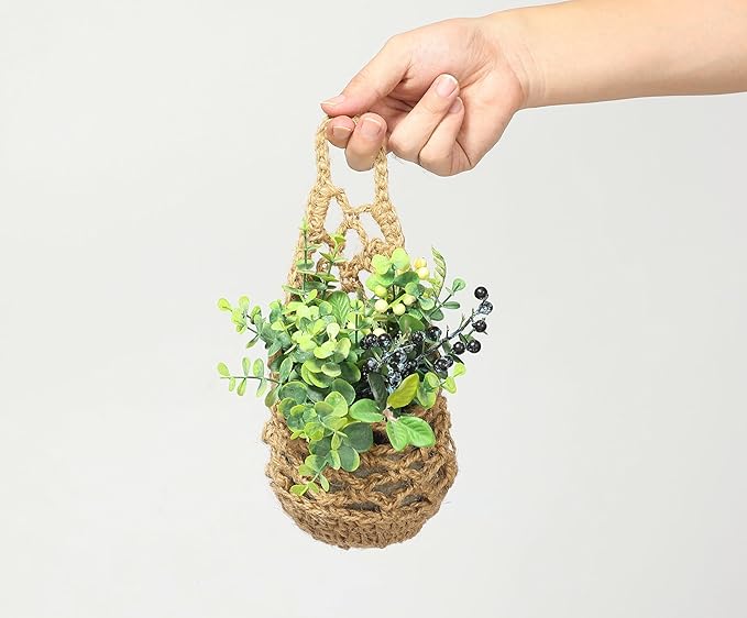 3 Packs Hanging Planters for Indoor Plants up to 4 in., Wall Plant Holder | - Image 3