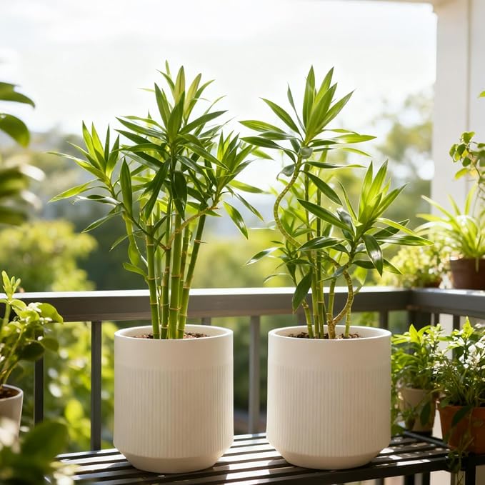 Plant Pots，Set of 2 Plastic Large Pots - Image 5