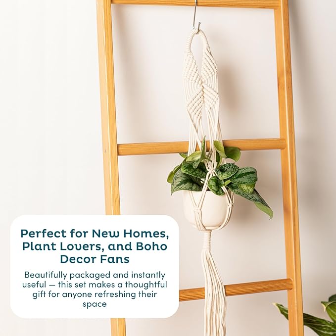 Nook Theory 6-Pack Macrame Plant Hangers - Image 8