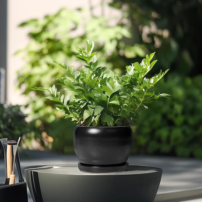 SQOWL Ceramic Plant Pot - Image 4