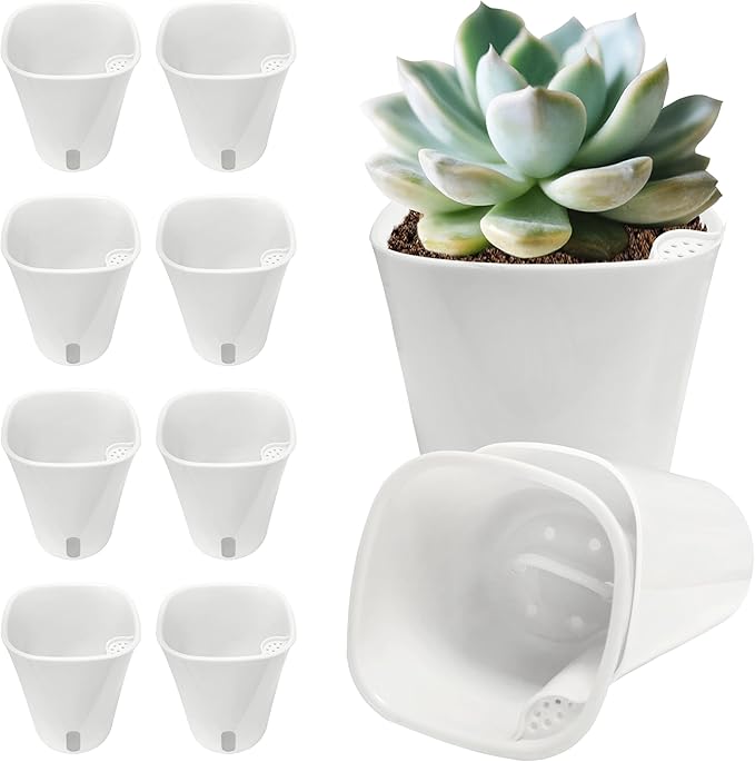 3" Self Watering Pots by TCBWFY