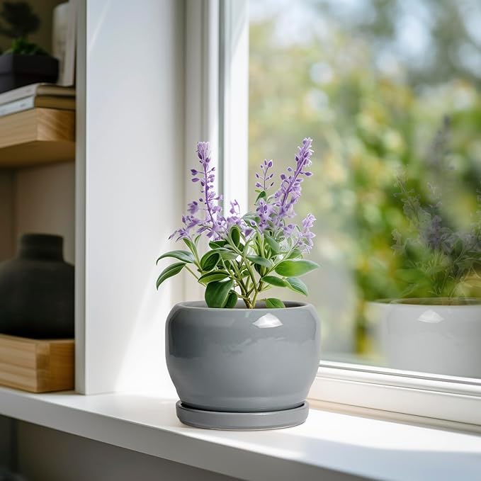SQOWL 6 Inch Plant Pots - Image 2