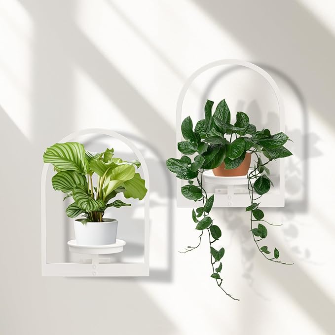 Wall Planters for Indoor Plants Window Plant Shelves Set of 2 by STORENIZATION
