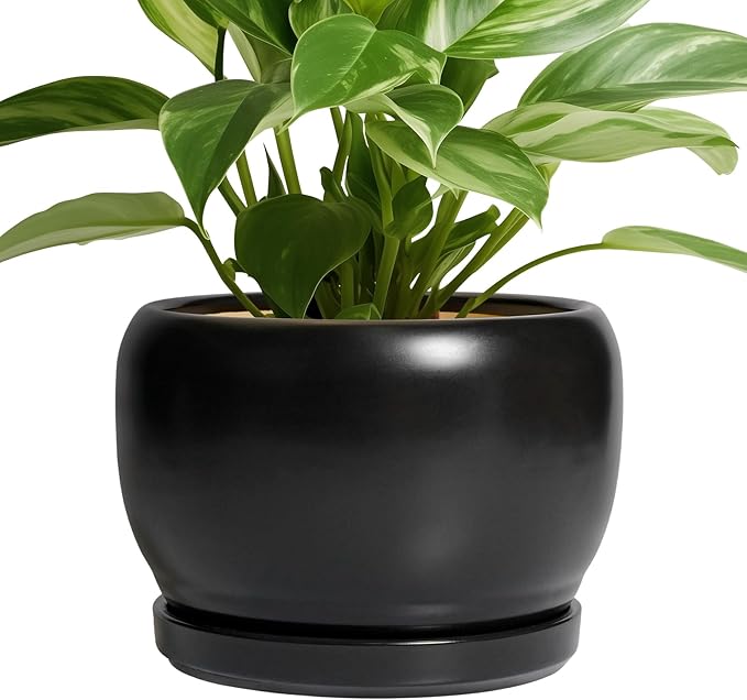 SQOWL Ceramic Plant Pots by SQOWL