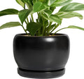 SQOWL Ceramic Plant Pots by SQOWL