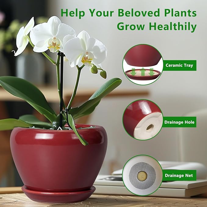 10 Inch Plant Pot - Image 6
