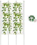 5.25FT Garden Trellis for Climbing Plants Outdoor, Metal Wall Lattice Climbing by ParseBio