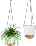 GARDIFE hanging planter, 8 inch hanging planters by GARDIFE