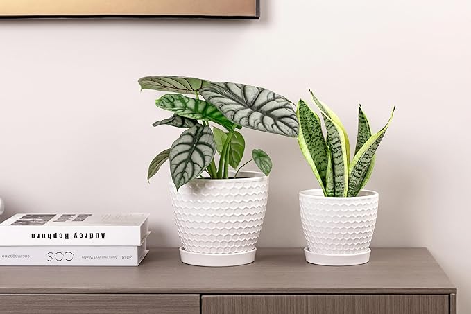 Docrin Ceramic Plant Pots Set of 2, High-Fired Clay Indoor Planters - Image 8