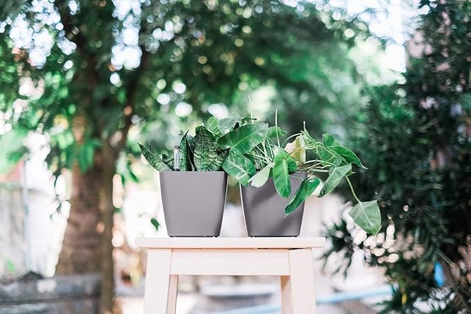 GARDENIX DECOR 5" Self Watering pots - Image 6
