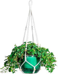 Melphoe Self Watering Hanging Planters by Melphoe