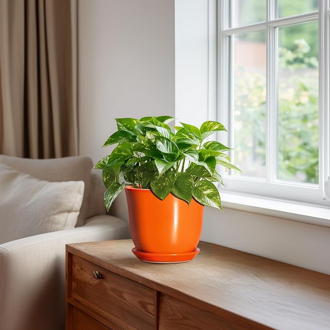 5.6 Inch Plant Pot - Image 5