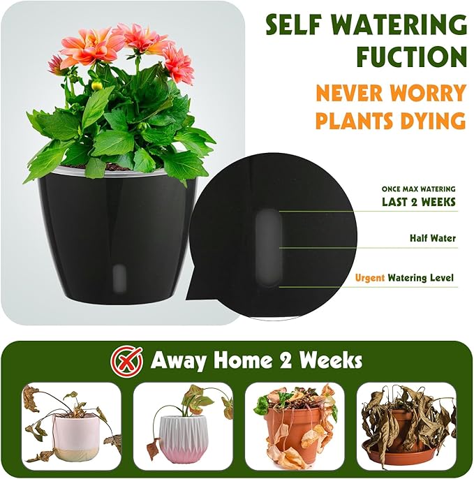 Self Watering Pots for Indoor Plants, Small African Violet Pots - Image 2
