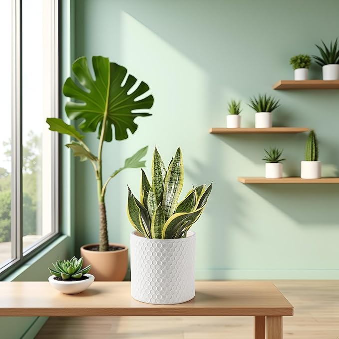 Docrin Ceramic Planters Indoor, 8 Inch Plant Pot - Image 5