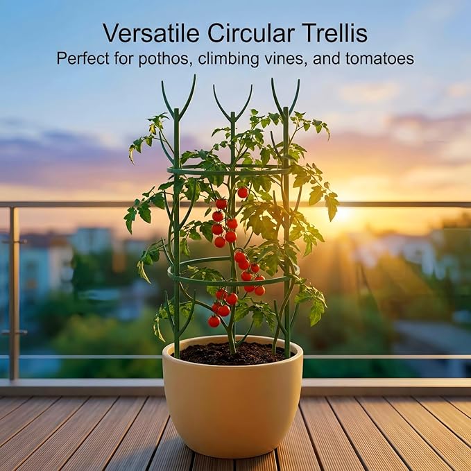 10-Pack Monstera Plant Support Stakes - Image 4