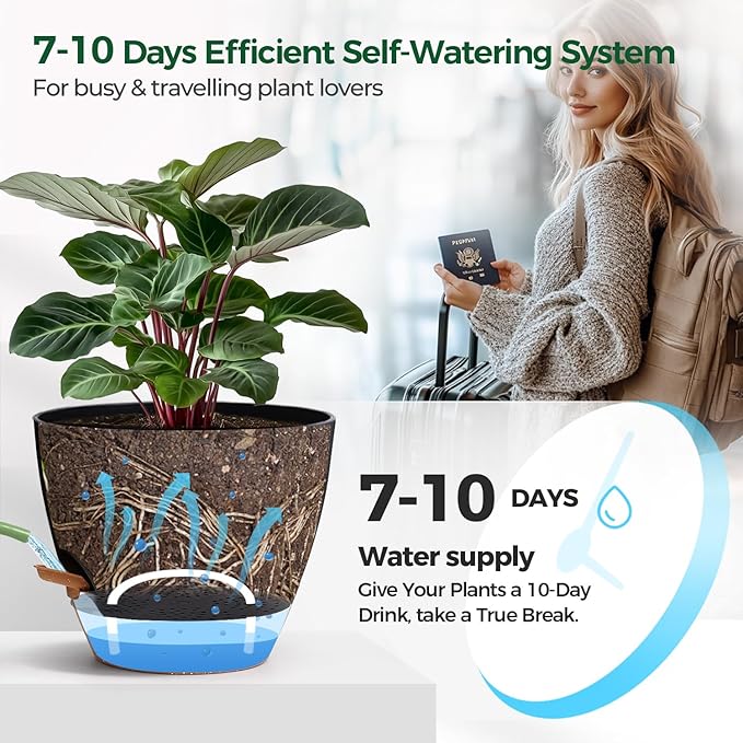 T4U 2 Pack 8 Inch Self Watering Pots - Image 5