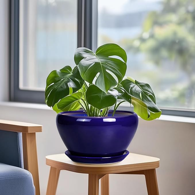 Planter for Indoor Plants 9 Inch - Image 4