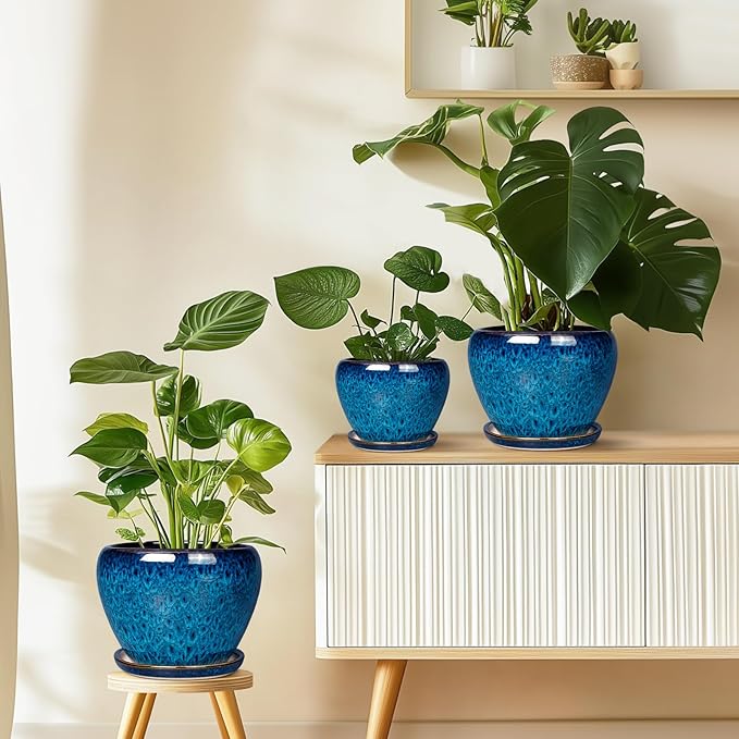 Ceramic Modern Glaze Succulent Planter Pot - Image 9