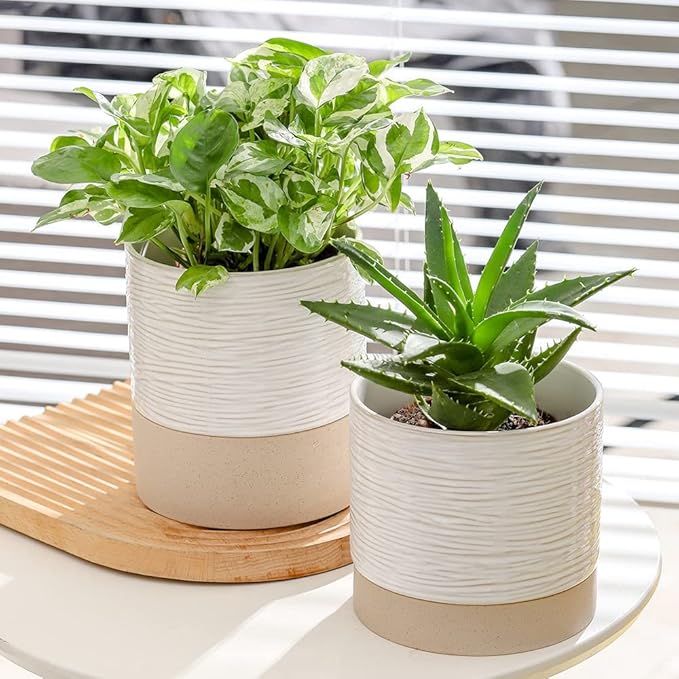 Nihow Ceramic Plant Pot: 6 Inch Planter - Image 6