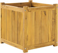 Idzo Acacia Wood Flower Planter Box by Idzo