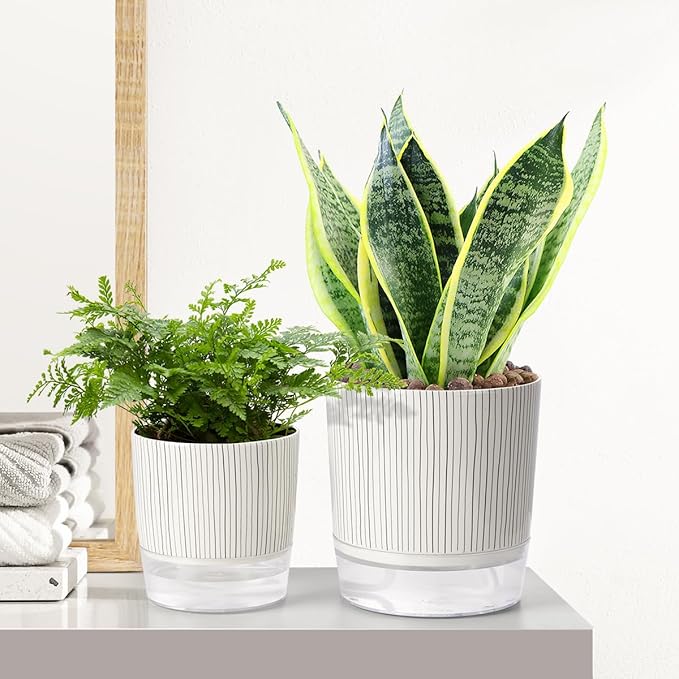 Self Watering Pots for Indoor Plants, 5 & 4 Inch Stylish Flower Pots - Image 8