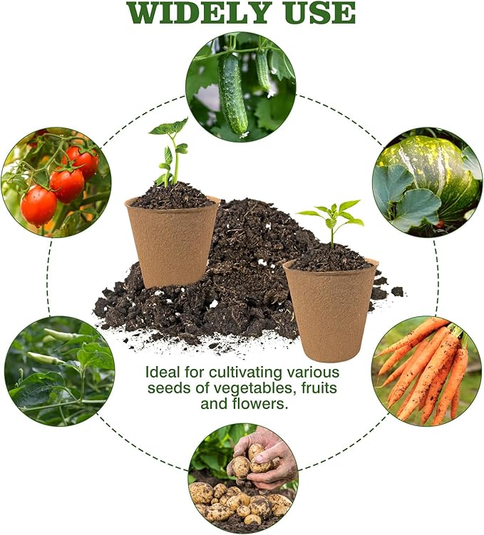 Biodegradable Peat Pots for Seedling - Image 5