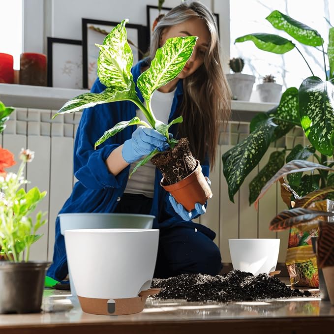 montresor 12/10/8 Inch Self Watering Pots - Image 9