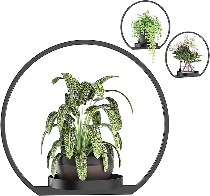Wall Planters for Indoor Plants, Plant Frames Wall Decor Living Room Plant by DEMEGA