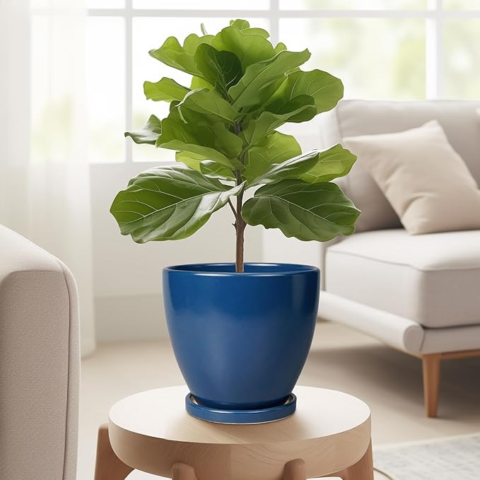 6.8 Inch Plant Pot - Image 4