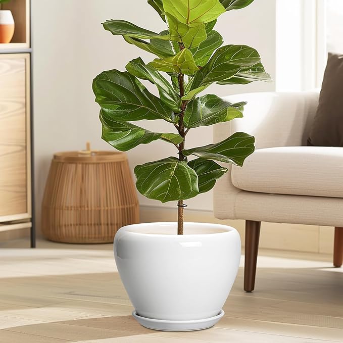 Ceramic Pot for Plants - Image 2