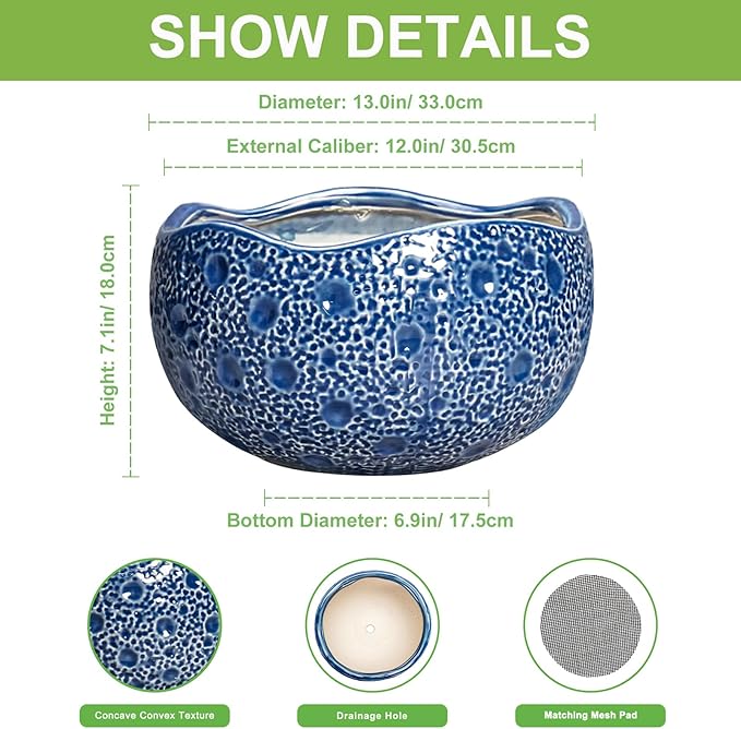 Bonsai Tree Pot - Image 2