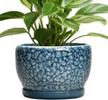 SQOWL 8 inch Plant Pot by SQOWL