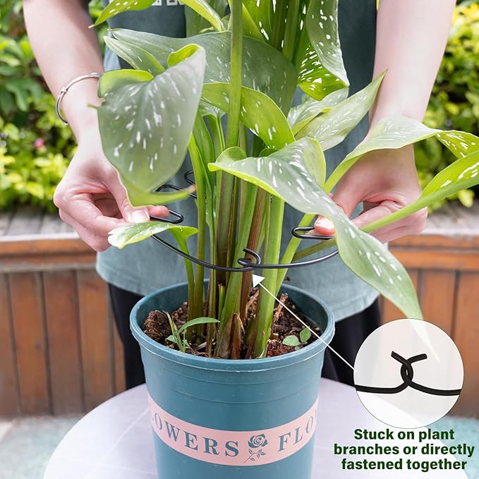 5PCS Monstera Plant Stem Support -7.3*6.25IN Adjustable Metal Stake - Image 4