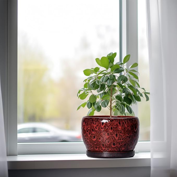 SQOWL Ceramic Plant Pots - Image 4