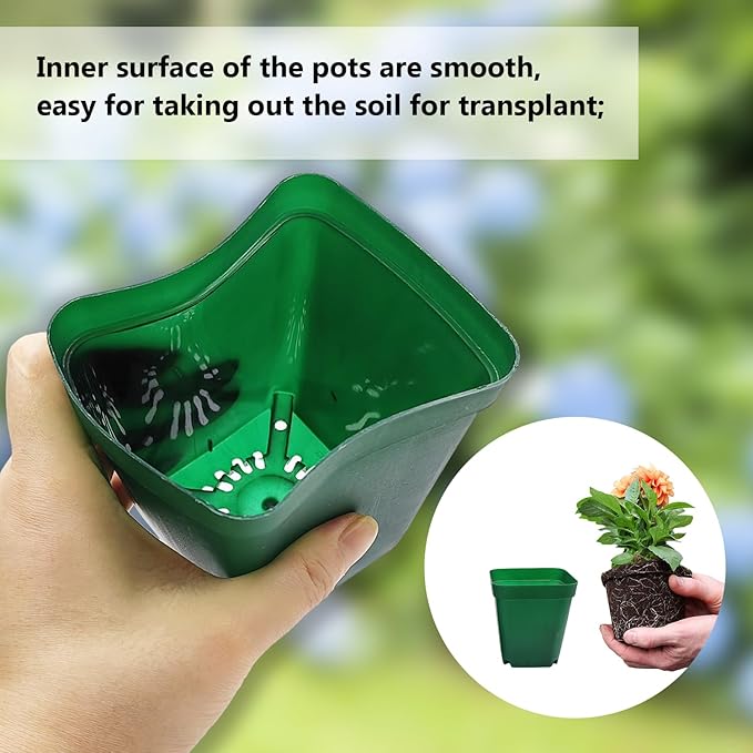 Square Seedling Nursery Pots 3.15 Inches 100 Pcs - Image 3