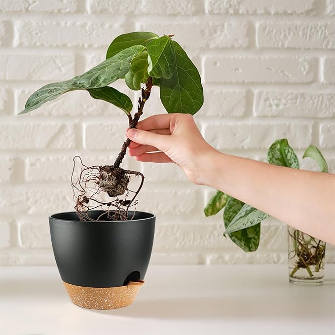 Self Watering Plants Pot with Drainage Hole, Flower Plants Pots - Image 6