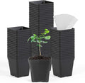 June Fox Square Nursery Pots 3.3 Inches Flexible Plastic Seedling Pots Square by June+Fox