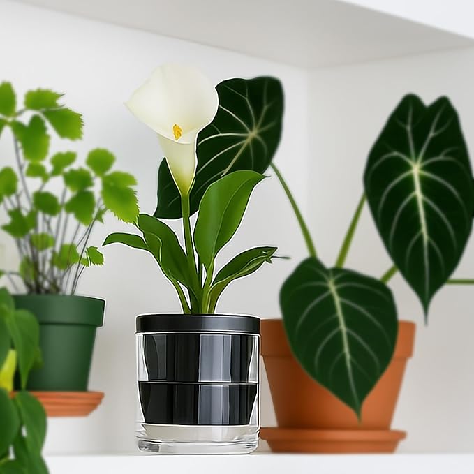 D'vine Dev 4 Inch Design Self Watering Planter - Image 4