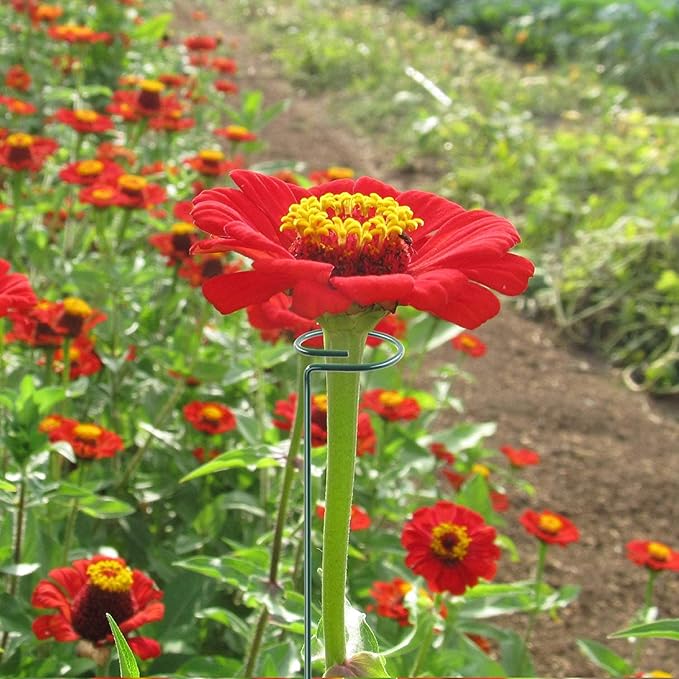 HiGift 20 Pack 24 Inch Plant Support Stakes, Single Stem Flower Support Stakes - Image 5
