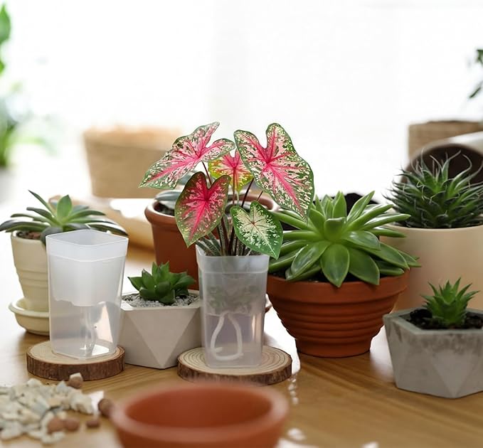 LemonRoad 20 Pack 2" and 2.5" Small Self Watering Pots - Image 6