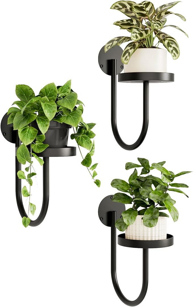Bamworld Hanging Planters for Indoor Plants Wall Plant Holder Plant Hanger by Bamworld